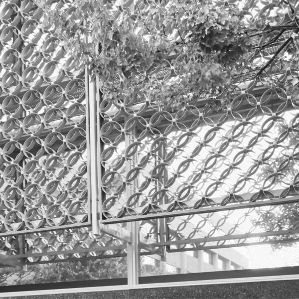 A building's geometric metal facade with circular patterns is partly covered by leafy tree branches above; the photo is black and white.